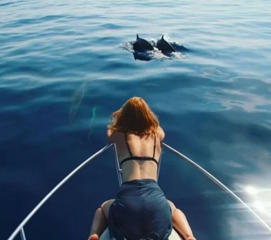 Морская прогулка к дельфинам из Кудепсты