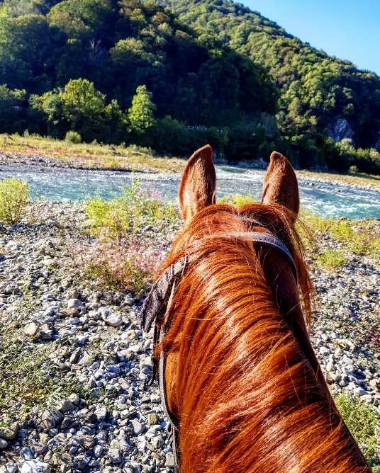 Экскурсия конные прогулки в Лазаревском 