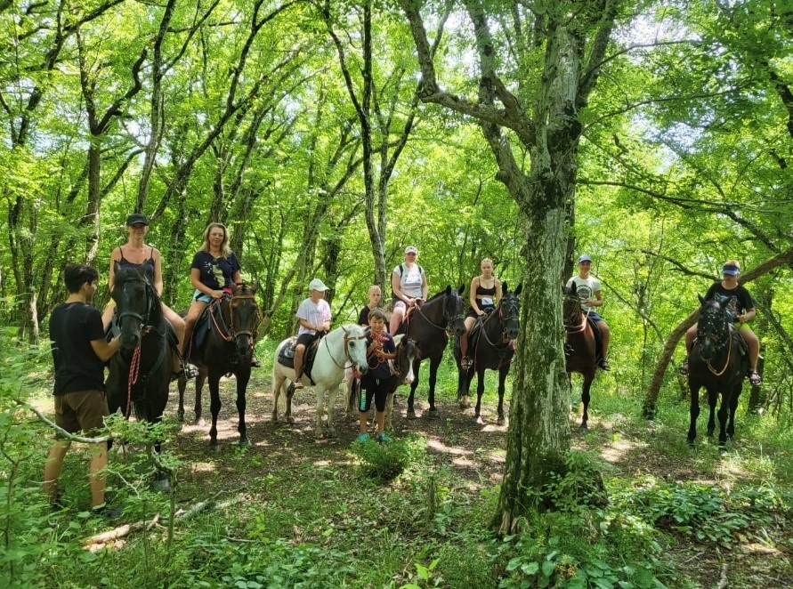 Обзорная конная прогулка в Лазаревском