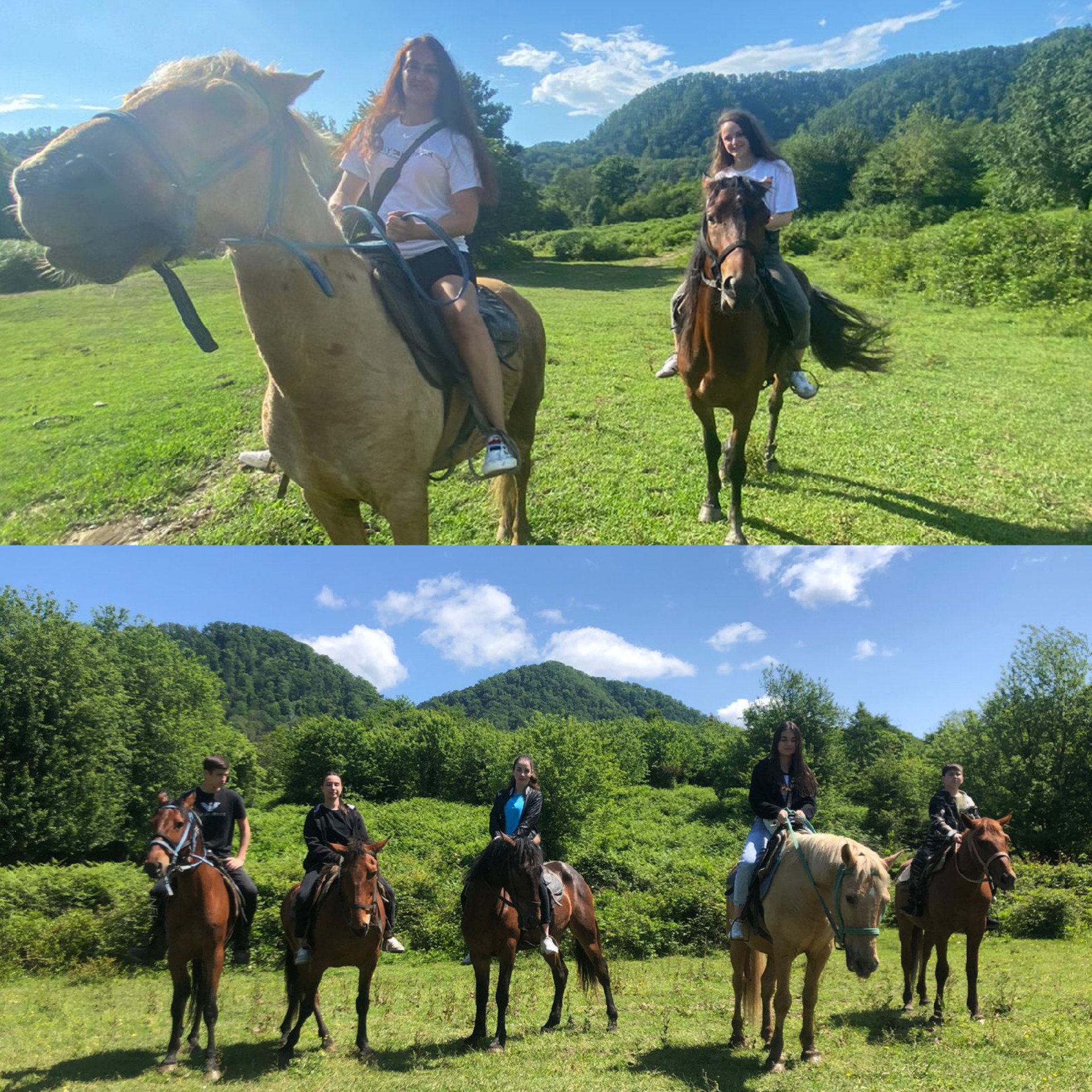 Конные прогулки в Сочи