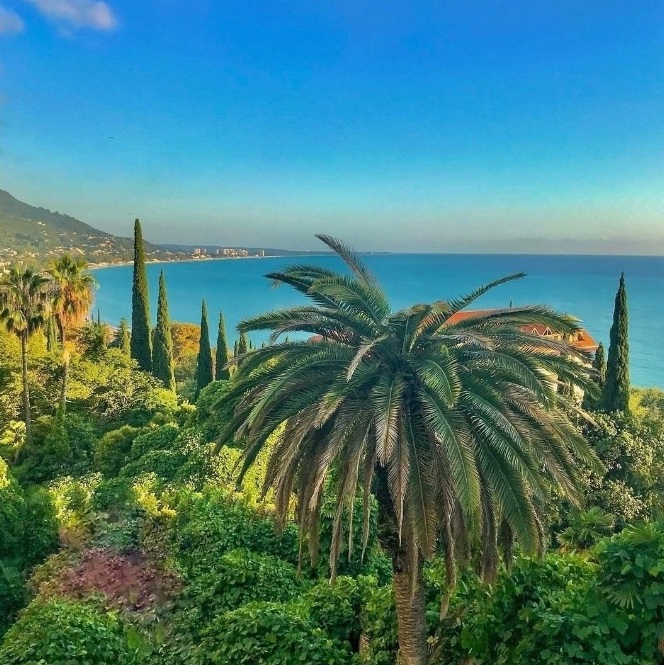 Гагра Абхазия