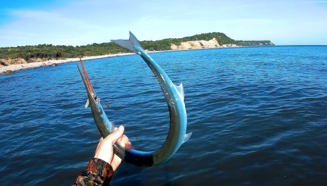 Рыбалка на Чёрном море 