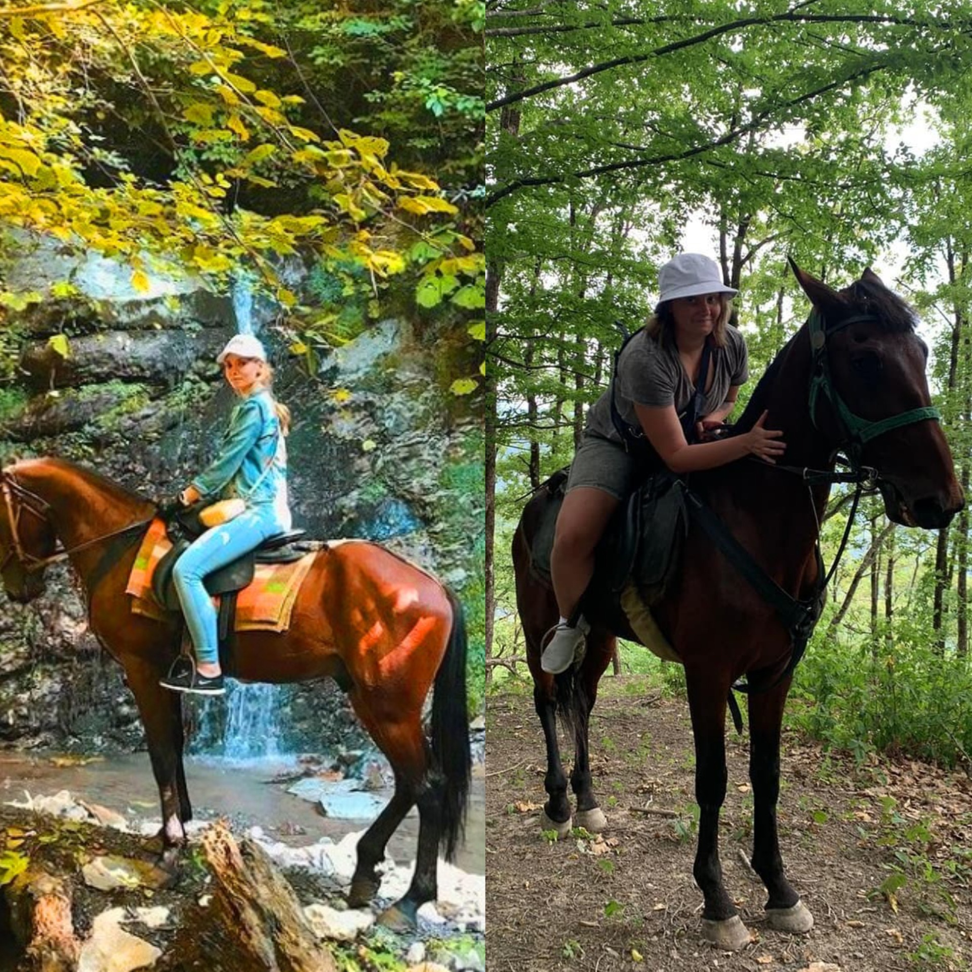 Конная прогулка в Сочи
