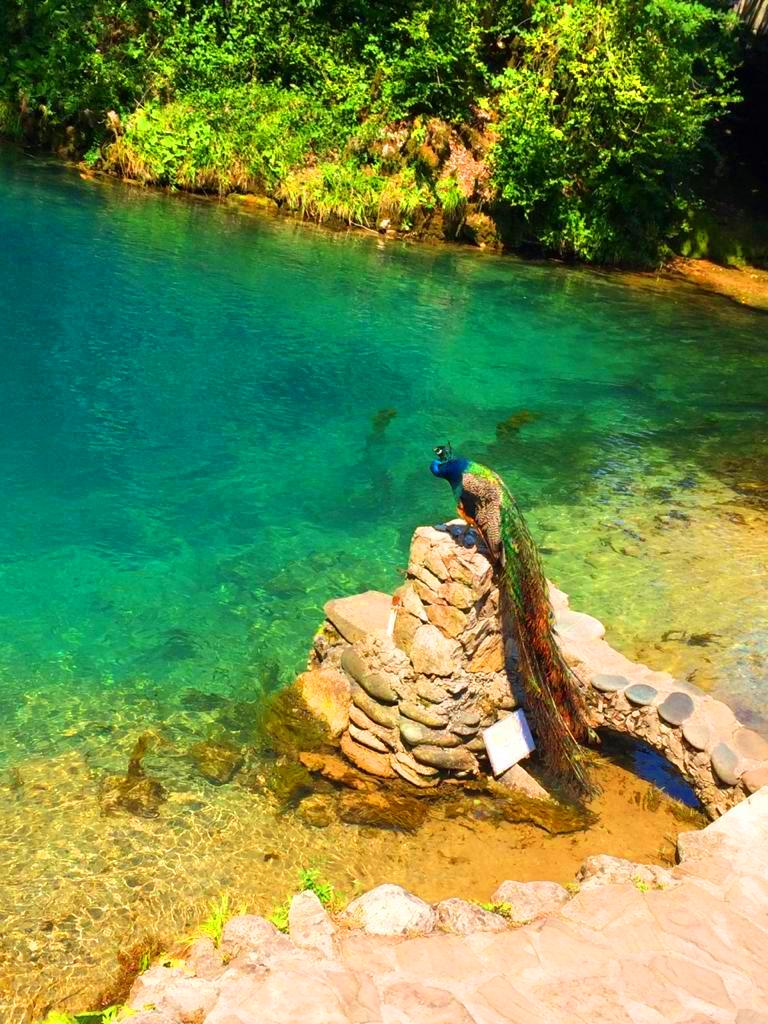 Джиппинг в Абхазию из Дагомыса на Гегский водопад и озеро Рица