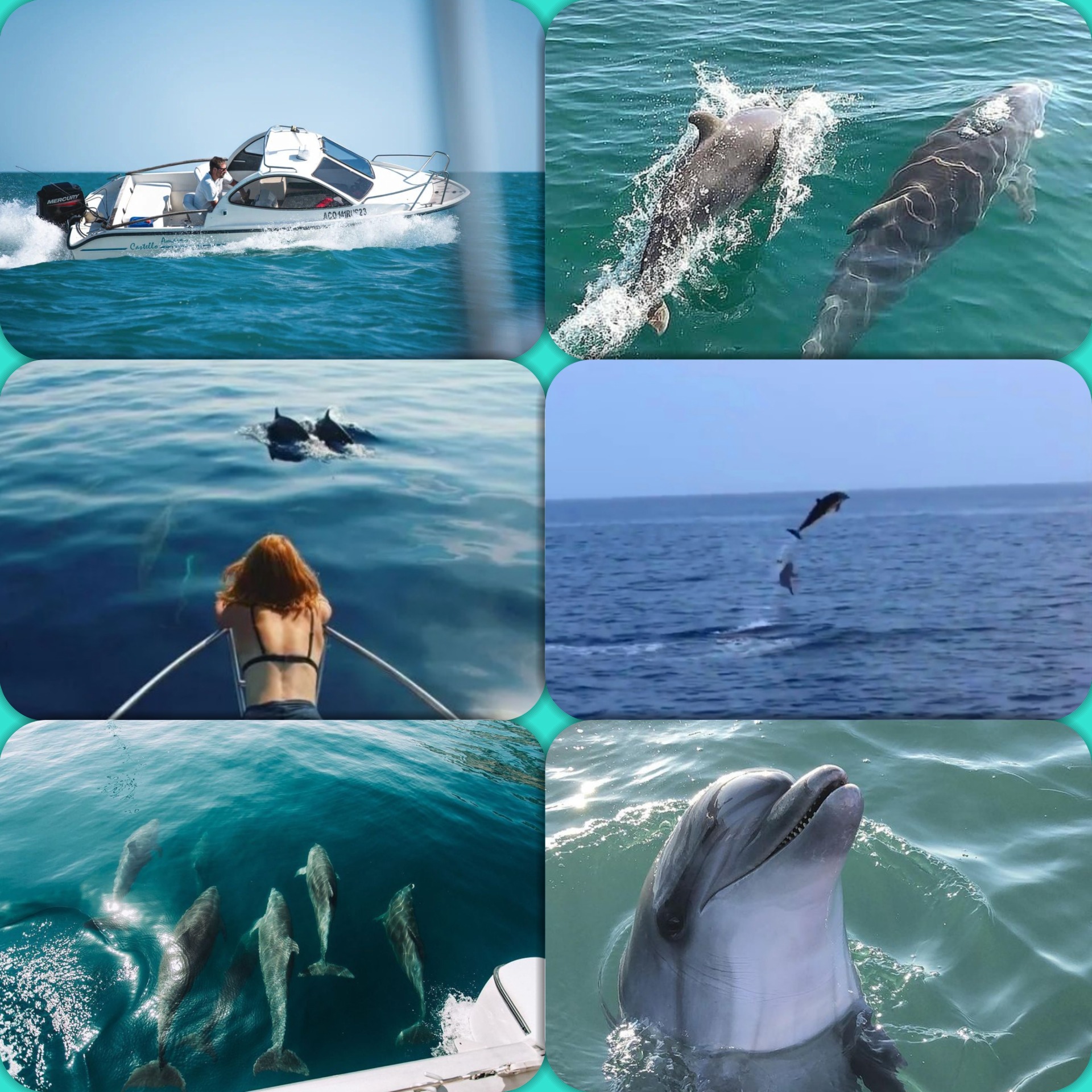 Экскурсия в Вардане морская прогулка к дельфинам